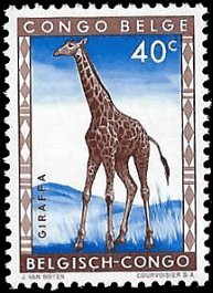 BELGIAN CONGO   #308 MNH (1)