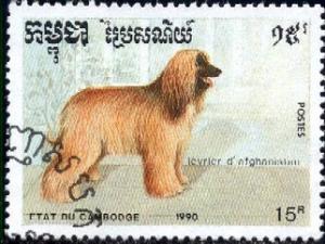 Dog, Afghan, Cambodia stamp SC#1054 used