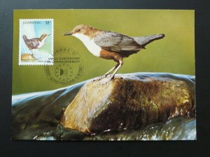 bird dipper European year of nature maximum card Luxembourg 1987