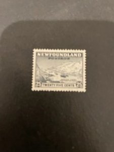 Newfoundland sc 197 MH