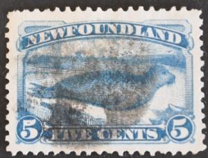 DYNAMITE Stamps: Newfoundland Scott #53 (sm.thin)  USED