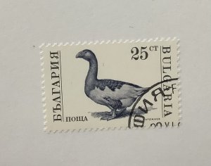 Bulgaria 1991  Scott 3582 used - 25s, Farm Animals