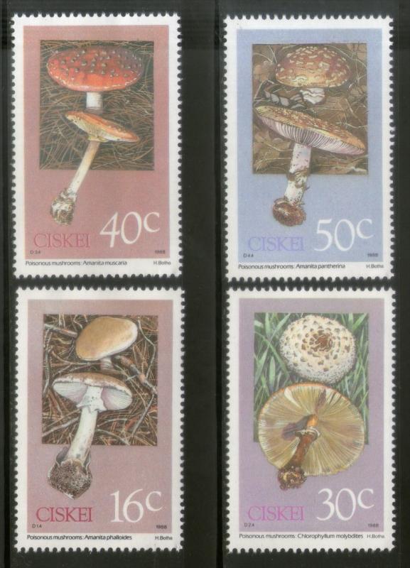 Ciskei 1988 Poisonous Mushrooms Fungi Plant Tree Sc 127-30 MNH # 2713