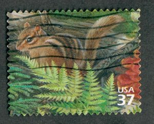 3899j Deciduous Forest used Single