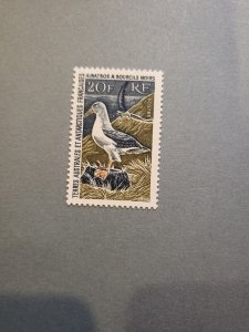 Stamps FSAT Scott #28 nh