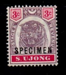 MALAYA SUNGEI UJONG SG55s 1895 3c DULL PURPLE & CARMINE SPECIMEN MTD MINT