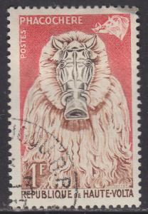 Burkina Faso 74 Wart Hog Costume 1960