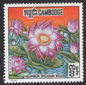 CAMBODIA SCOTT 231