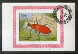 Sharjah - UAE 1972 Beetle Insect Fauna M/s Cancelled  # 552