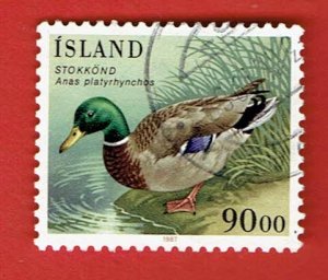 ICELAND SCOTT#645 1987 90kr MALLARD - USED