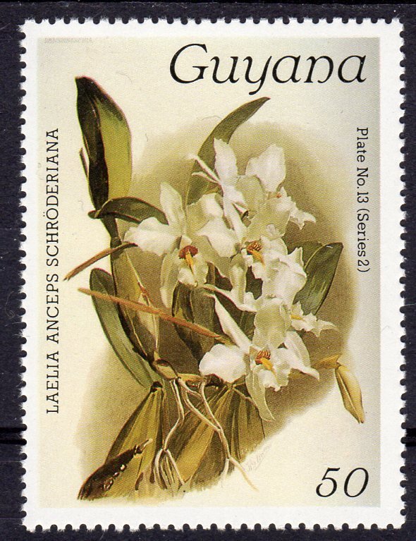 Guyana 1986 SG#1907 ORCHIDS (1) 15th.Issue Reichenbachia MNH