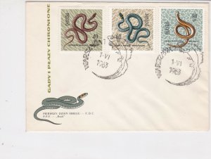 Poland 1963 Reptiles Protected Various Snakes FDC Stamps Cover Ref 25019