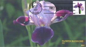 #4178 Iris BGC FDC
