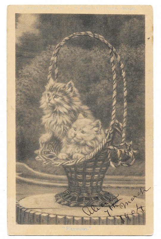 Beckenham, England 1904 local use postcard 'Playmates,' Cats, maile...