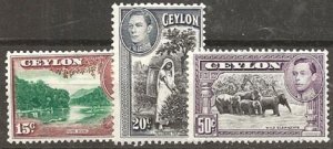 Dime Auction Ceylon 242-3,6 m