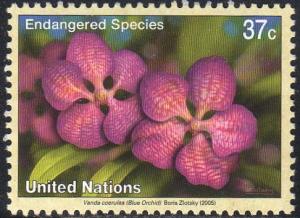 UN (New York) 876 - Mint-NH - 37c Blue Orchid (2005) (cv $1.10)