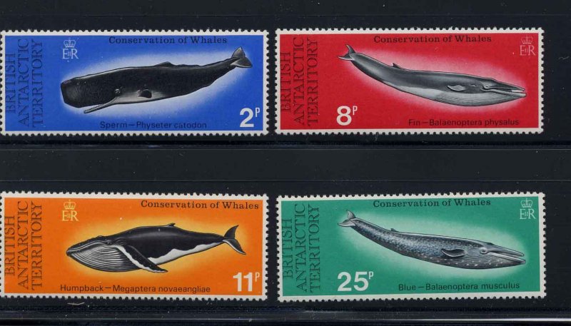 British Antarctic Territory Scott 64-67 MNH! Humpback Whale!
