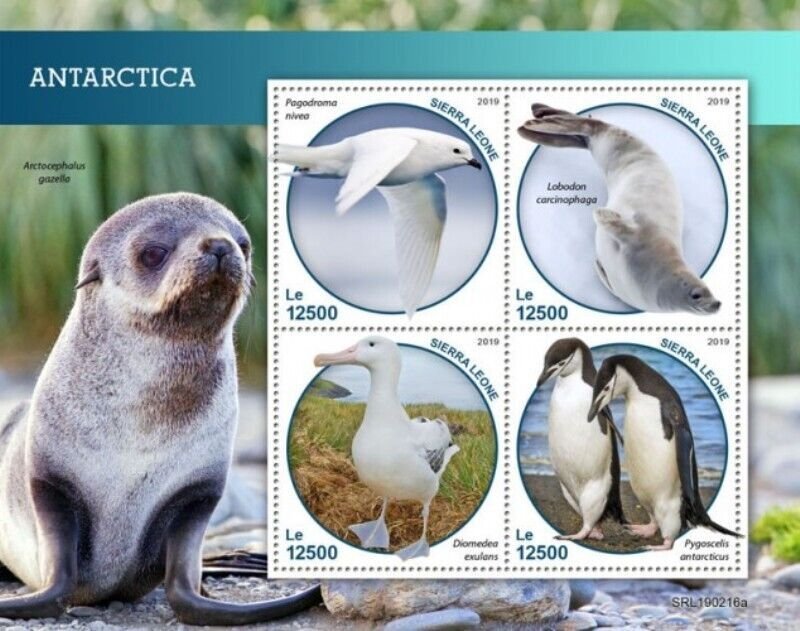 Sierra Leone - 2019 Antarctica Birds - 4 Stamp Sheet - SRL190216a