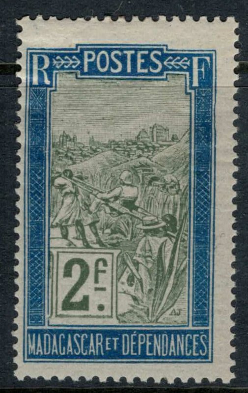 Madagascar #113*  CV $4.50