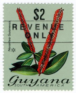 (I.B) British Guiana (Guyana) Revenue : Duty Stamp $2