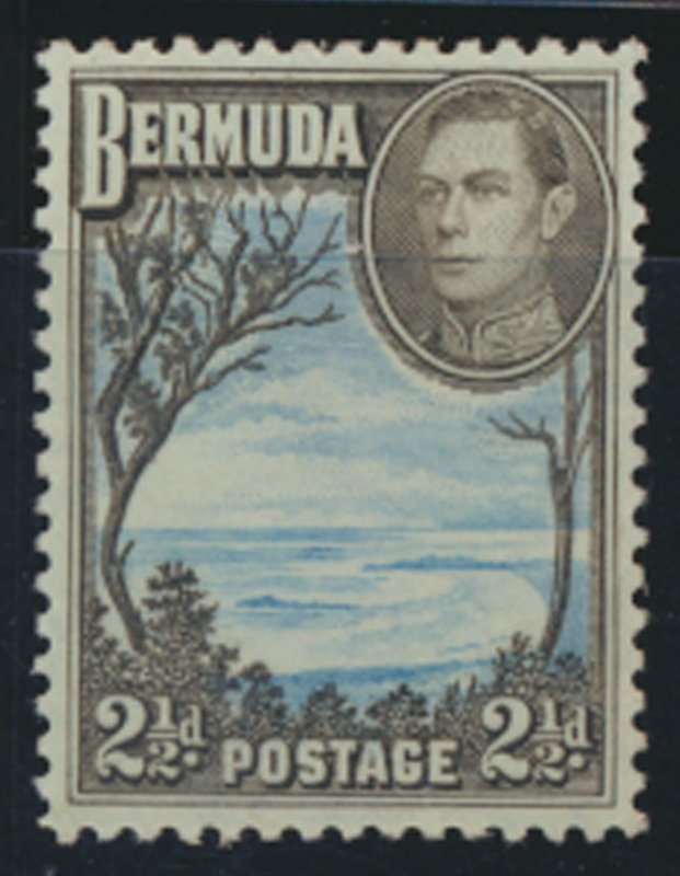 Bermuda  SG 113a perf 11.9  SC# 120A MLH Grape Bay  see details and scans