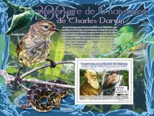 Guinea - Charles Darwin, Birds, Snake -  Stamp S/S  - 7B-1034