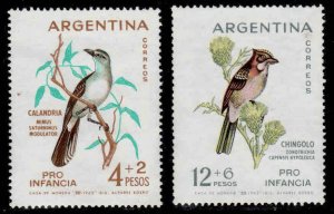 Argentina #B40-41 ~ Cplt Set of 2 ~ Birds ~ Mint, LHM  (1962)