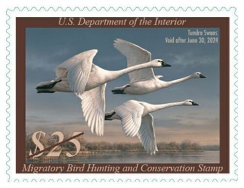 #RW90 2023 - 2024  Duck Stamp - MNH