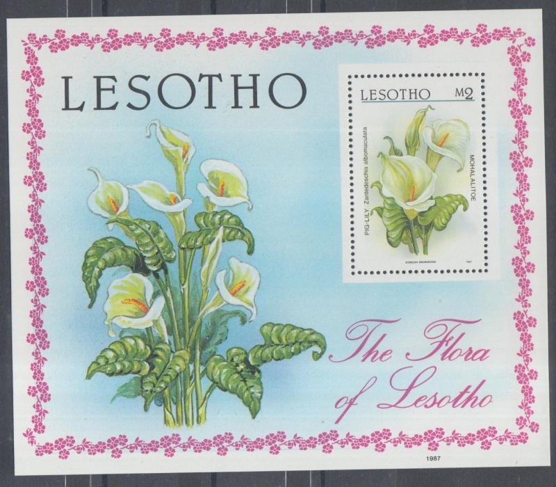 XG-K153 FLOWERS - Lesotho, 1987 Flora, Pig Lily MNH Sheet