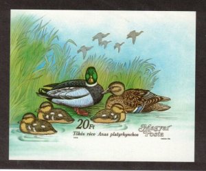 Hungary Sc 3141 MNH Imperf S/S of 1988 - Birds Wild Ducks - HM05