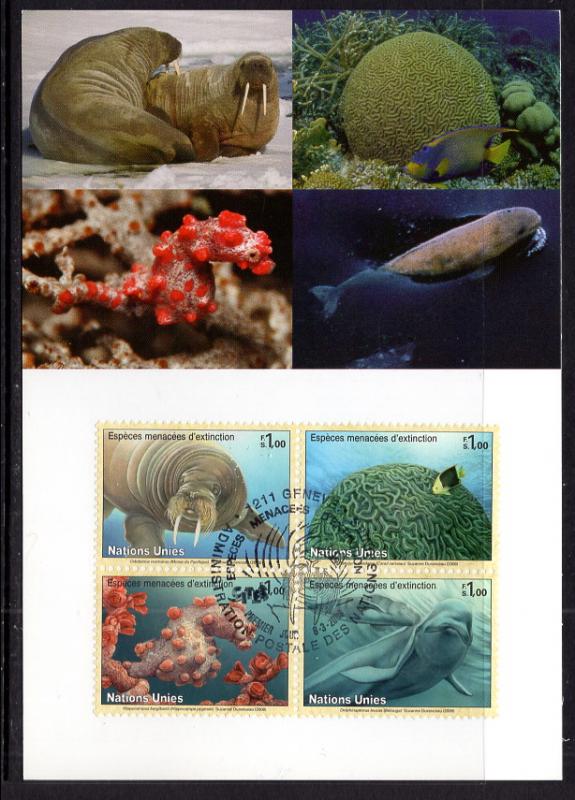 UN Geneva 483a Marine Life Maxi Card UN Postal Admin U/A FDC 