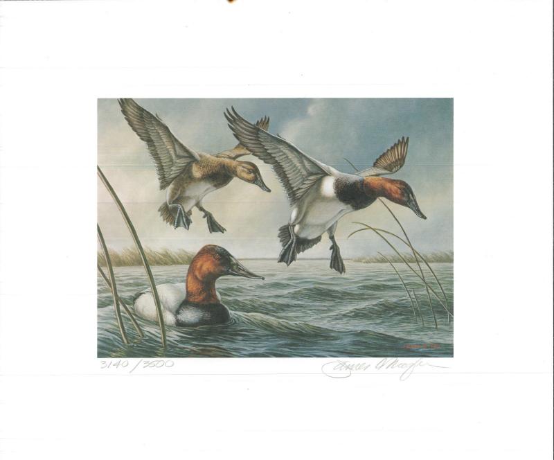 MINNESOTA #4 1980 STATE DUCK STAMP PRINT CANVASBACKS by James Meger List $400 