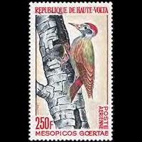 BURKINA FASO 1964 - Scott# C18 Bird-Woodpecker Set of 1 NH