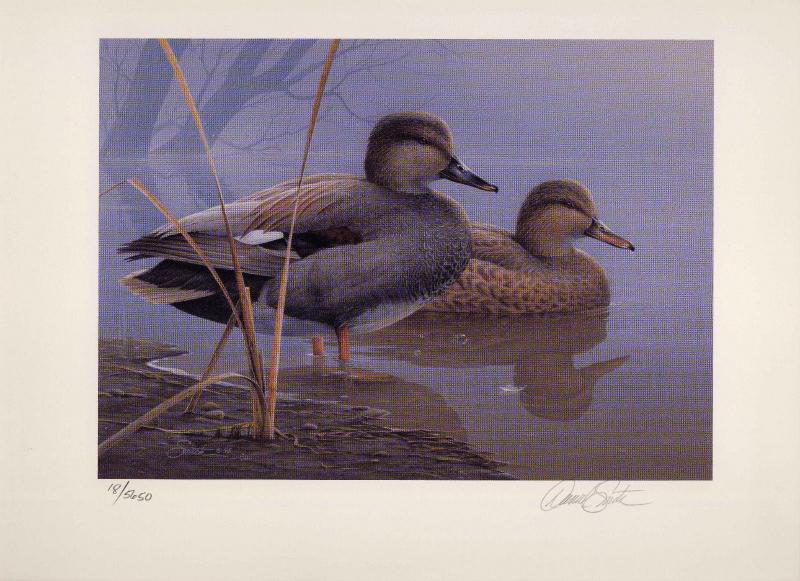 TEXAS #16 1996 STATE DUCK STAMP PRINT GADWALL  by Daniel Smith 2 stamps