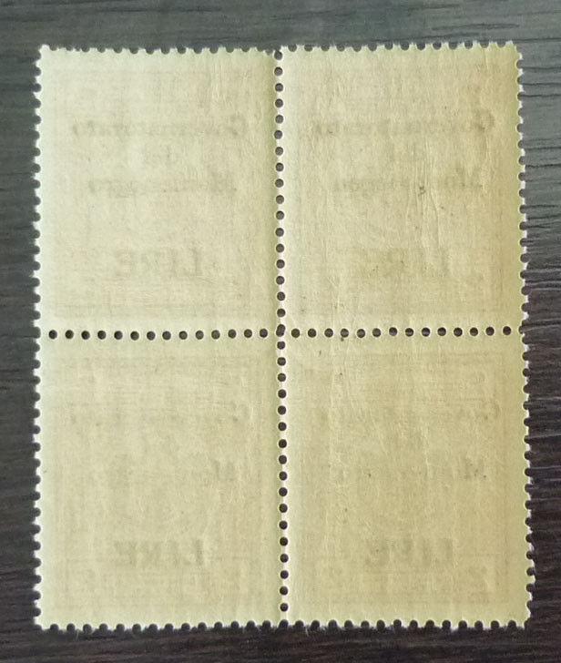 1942 MONTENEGRO-WWII-ITALY-TYPICAL OVP. ERROR ''MONTENEGEO''-BLOCK OF 4 R! J1