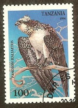 Tanzania 1281 100sh Pandon Hallaetus Raptors cto og nh