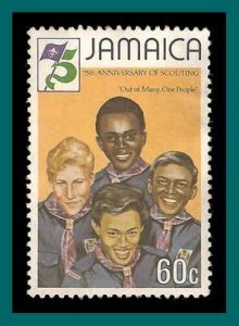 Jamaica 1982 Boy Scouts, 60c used  530,SG548