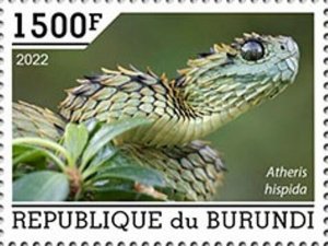 Burundi - 2022 Spiny Bush Viper - Stamp - BUR2201058a