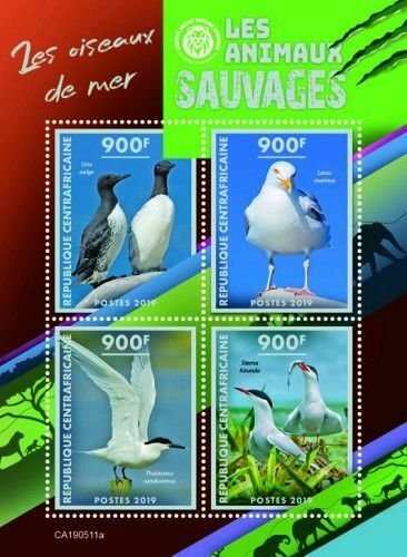 Z08 IMPERF CA190511a CENTRAL AFRICA 2019 Sea birds MNH ** Postfrisch