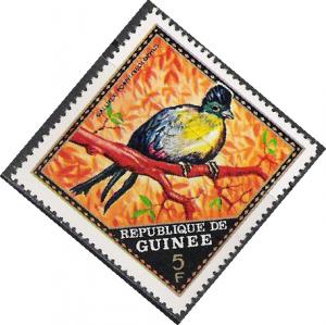 Guinea #582 Birds MNH