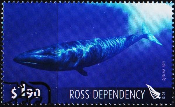 Ross Dependency. 2010 $1.90. Fine Used