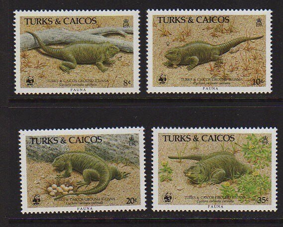 Turks & Caicos Island 1986 Sc 710-713 WWF set MNH