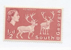 South Georgia 1963 - Scott 1 MH - Reindeer