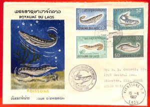 aa6377 - LAOS - Postal History - FDC COVER  1967 - Fish