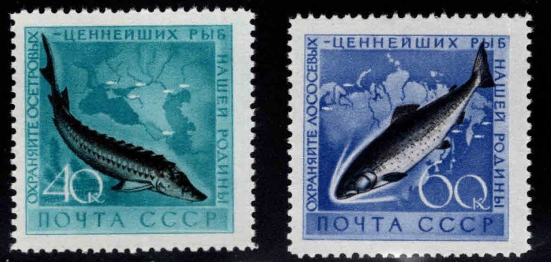 Russia Scott 2222-2223 MNH** Fish set expect similar centering