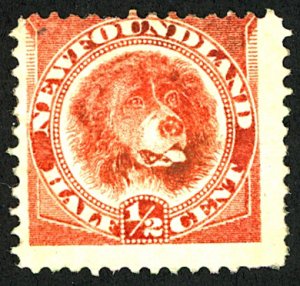 NEWFOUNDLAND #57 USED