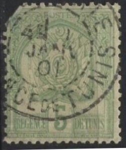 Tunisia 12 (used, torn corner, crease) 5c arms, yel grn (1899)