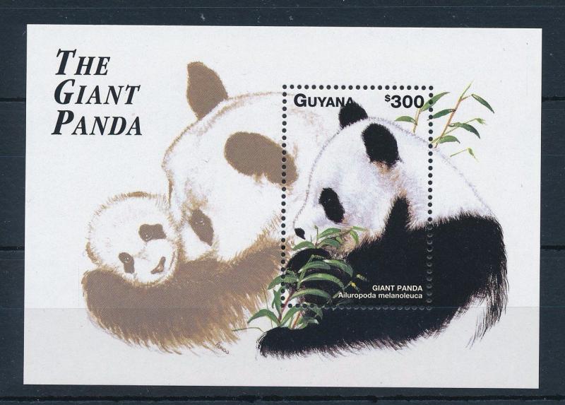 [29246] Guyana 1998 Wild Life Mammals Giant Panda MNH Sheet