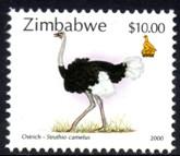 Zimbabwe - 2000 $10 Ostrich MNH** SG 1017