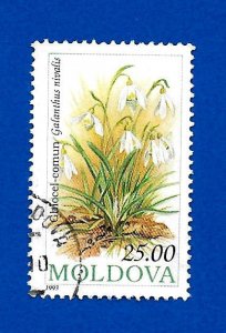 Moldova 1993 - U - Scott #100 *